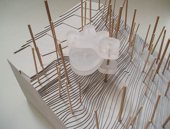 VILA PRO FERO FENIČE - STARÉ SPLAVY U MÁCHOVA JEZERA, studie