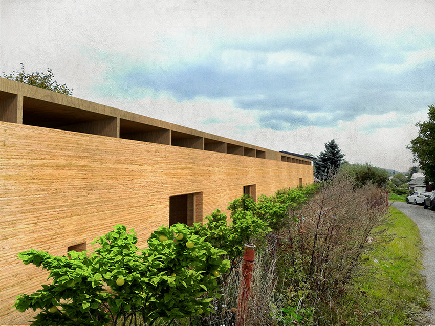  DŮM ZEĎ, VELKÉ LOSINY, studie